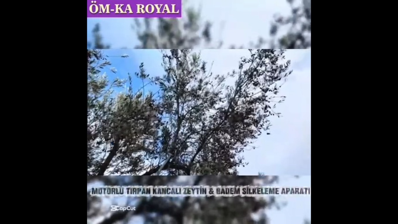 Video Banner