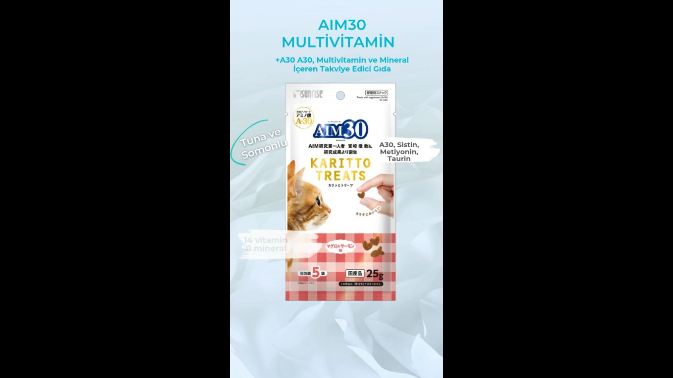 Video Banner