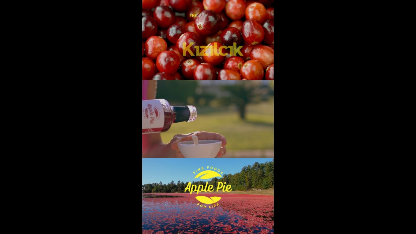 Video Banner