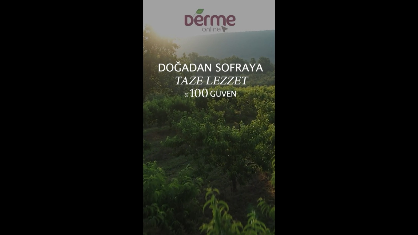 Video Banner