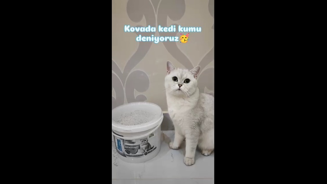 Video Banner
