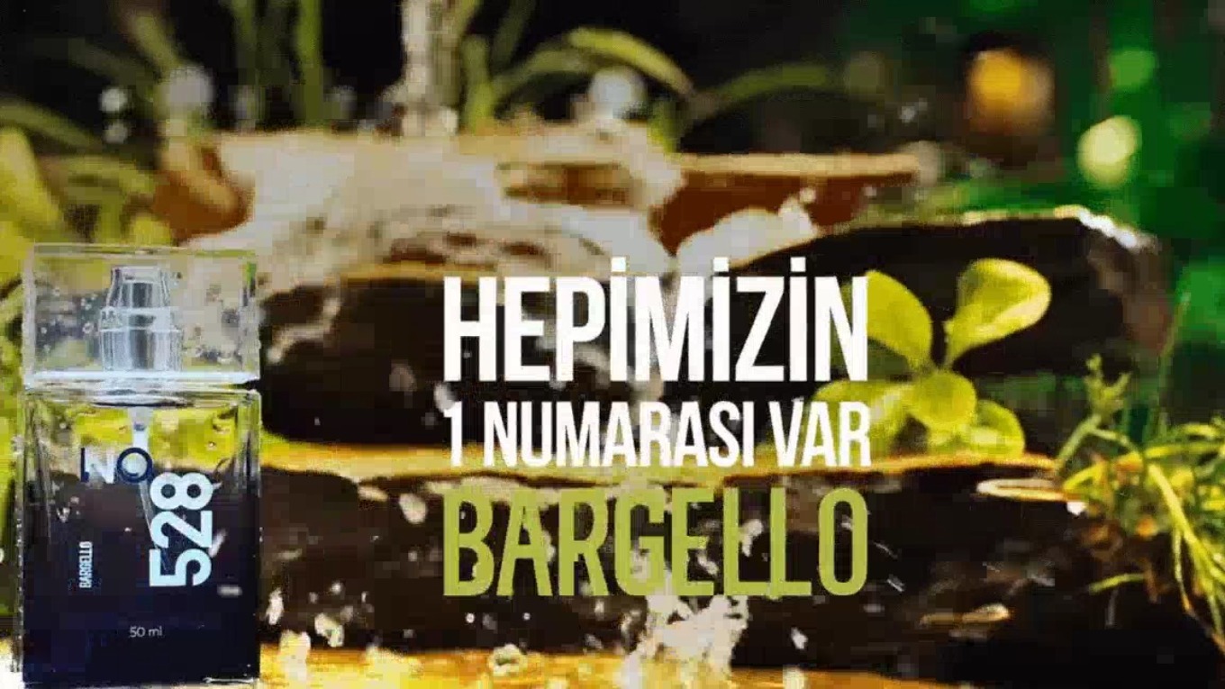 Video Banner