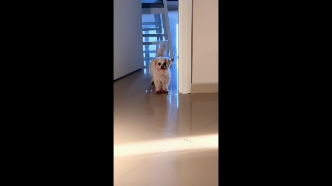 Video Banner