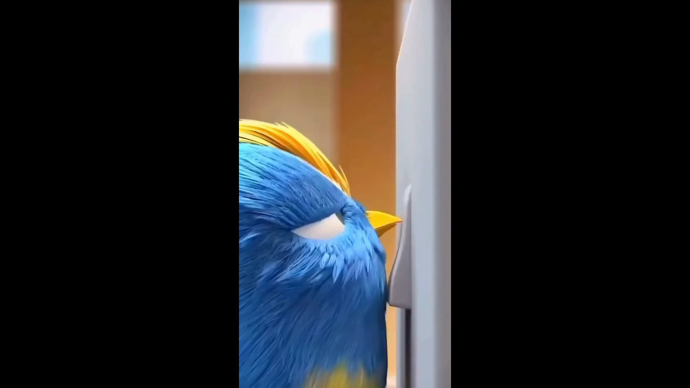 Video Banner