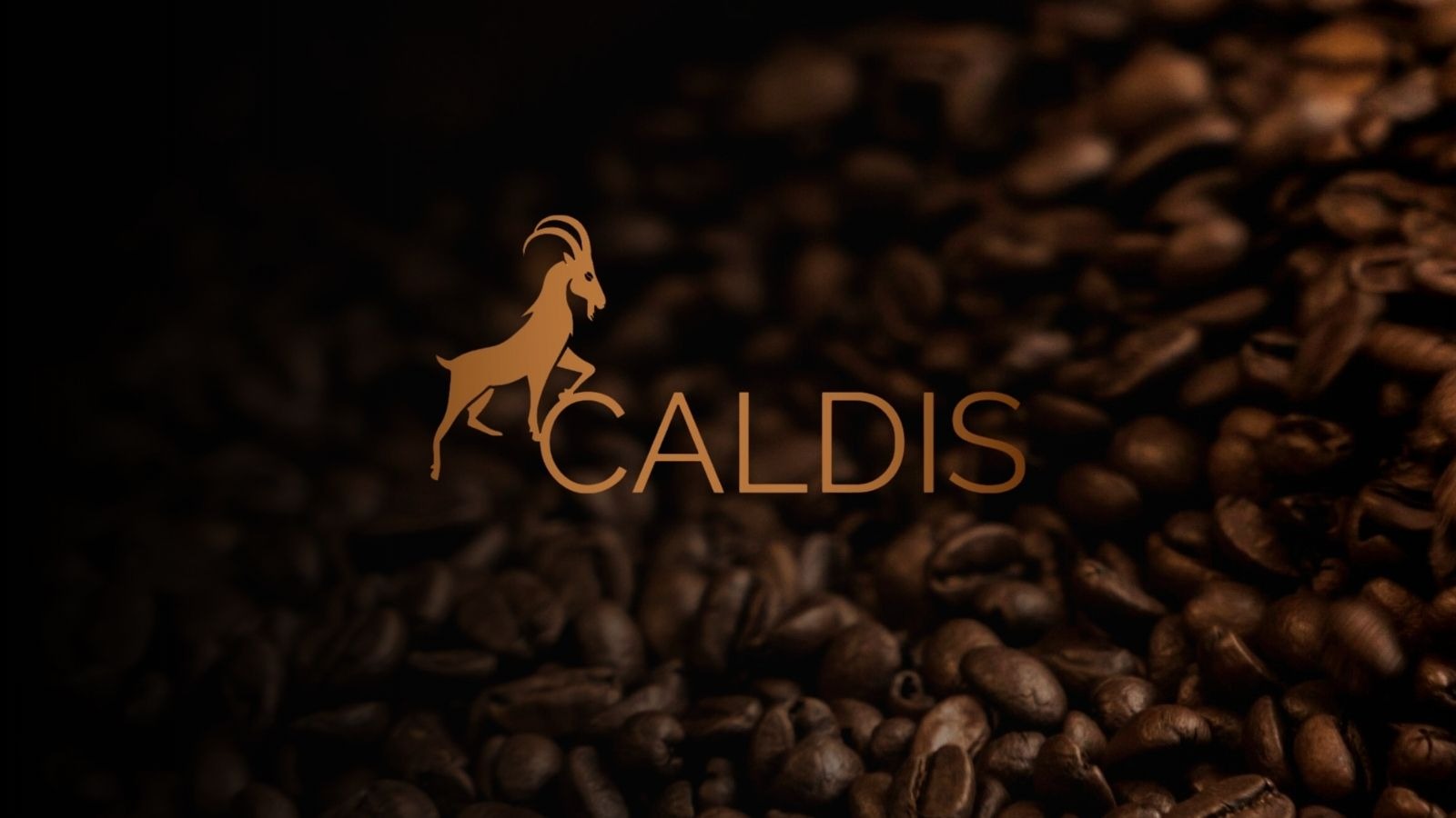 Video Banner
