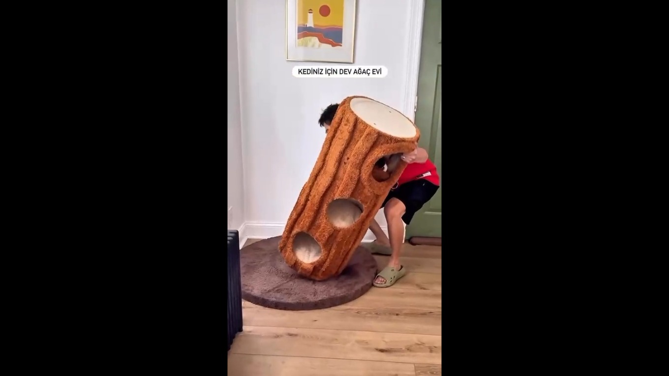 DEV KEDİ EVİ