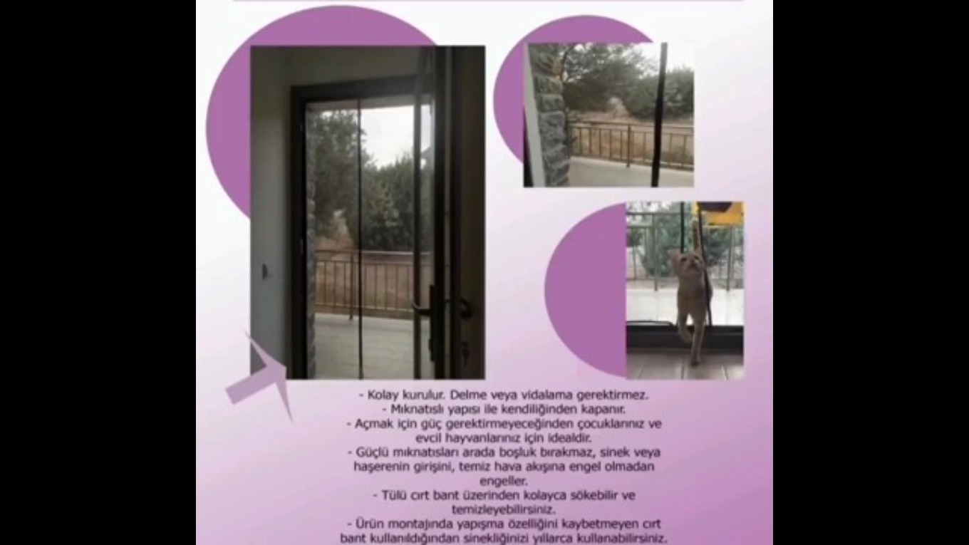 Erikmann aç kapa sineklik