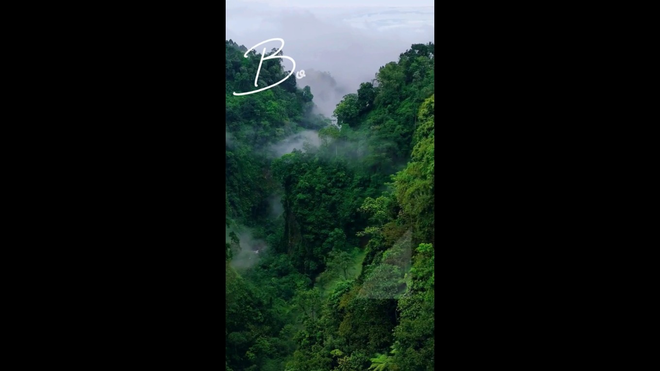 Video Banner