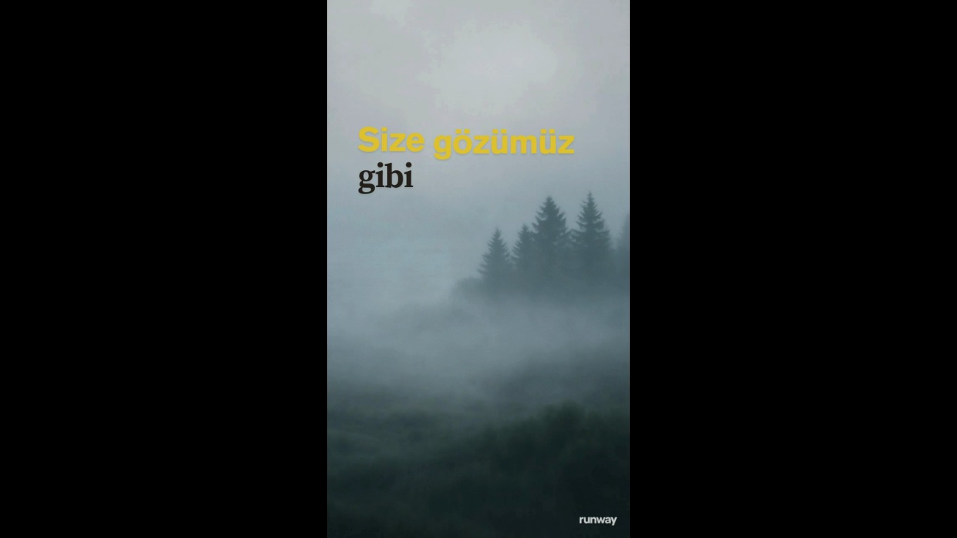 Video Banner