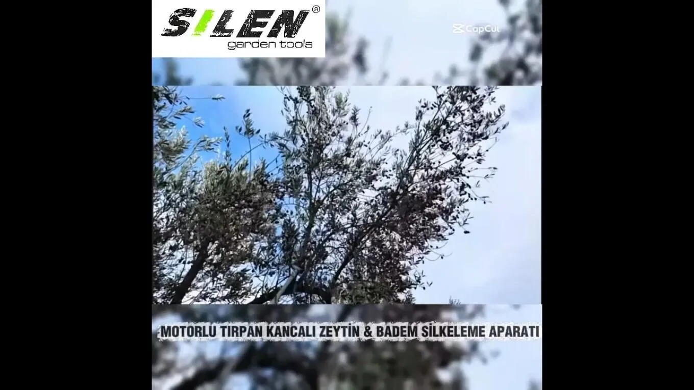 Video Banner