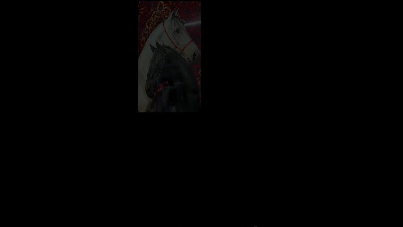 Video Banner