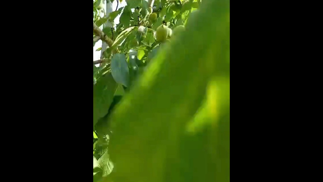 Video Banner