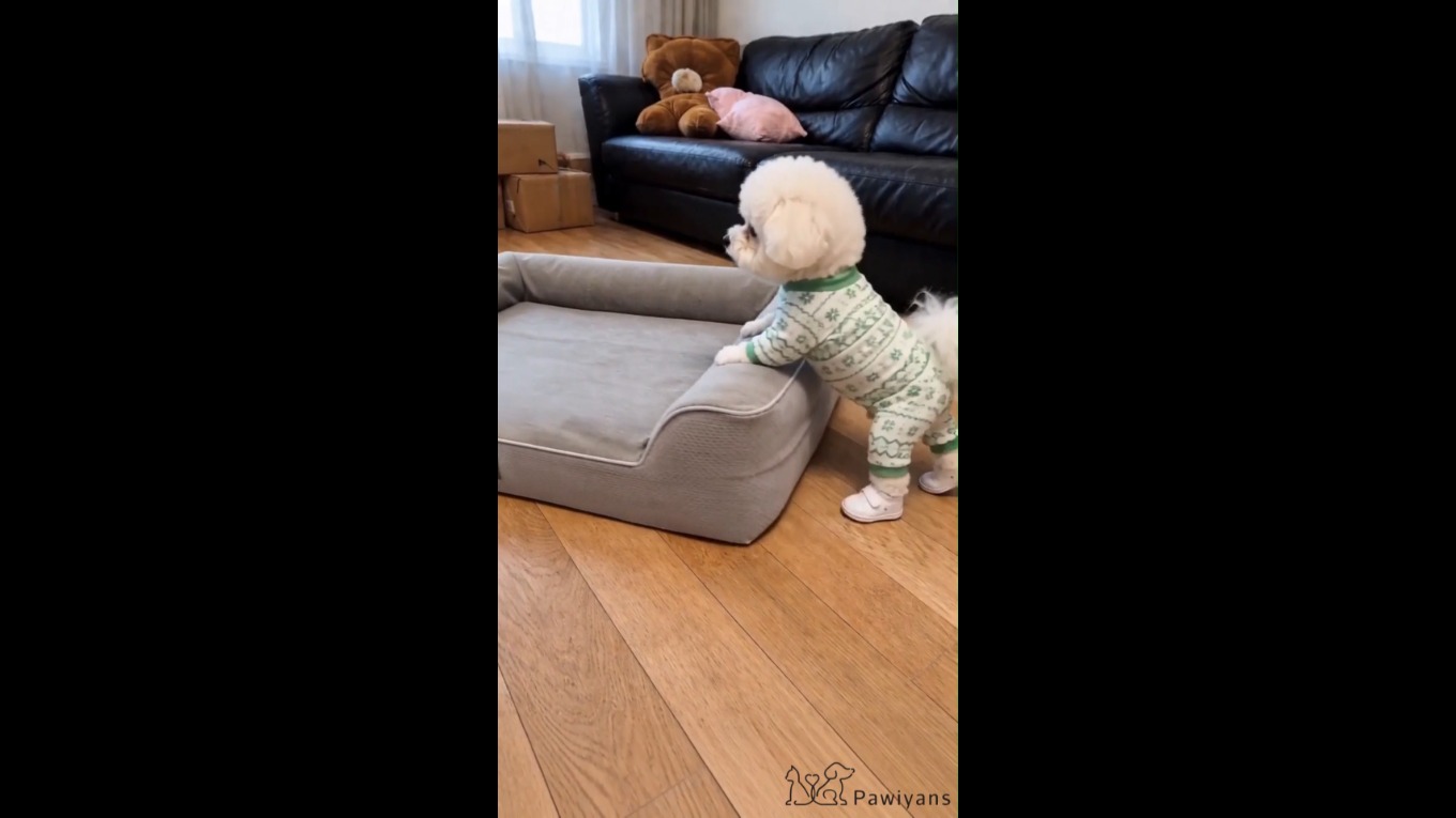 Video Banner