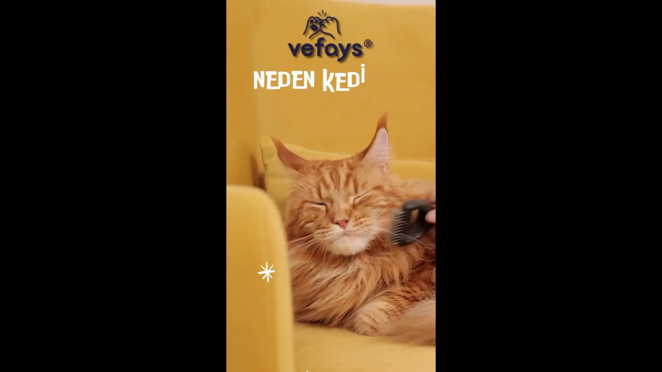 🐾🧡 Sağlıklı ve Lezzetli Kedi Maması Önerisi 🧡🐾