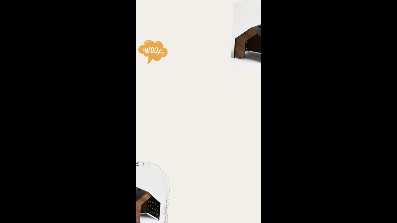 Vidar Kedi-Köpek Evi