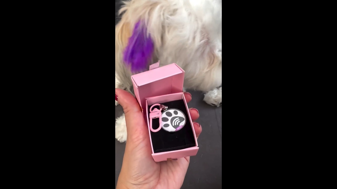 Video Banner