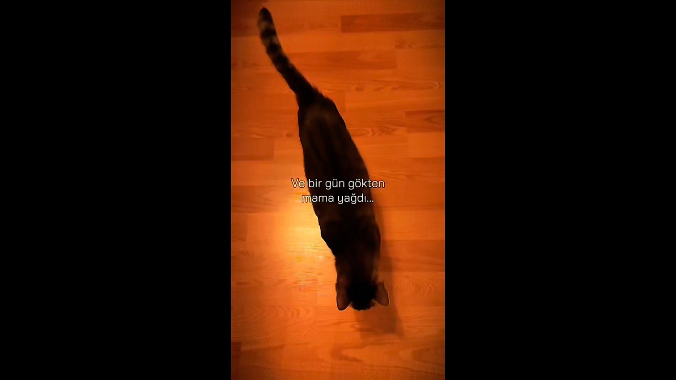 Video Banner