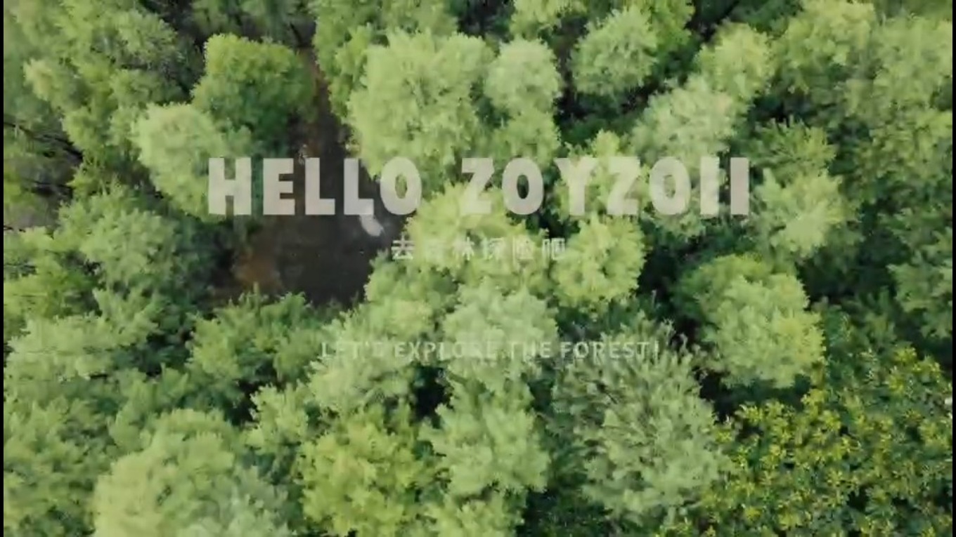 HELLO ZOYZOII