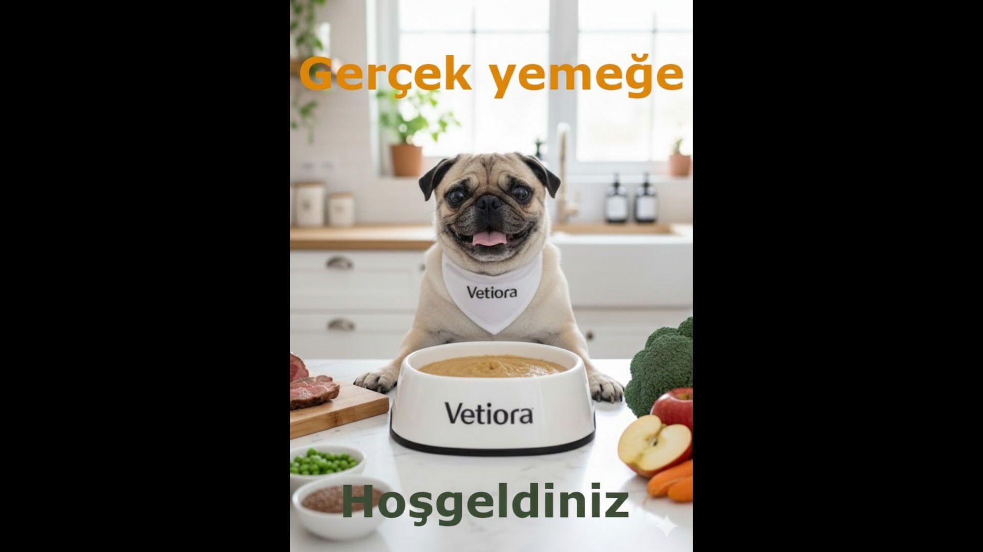 Özel Köpek Maması