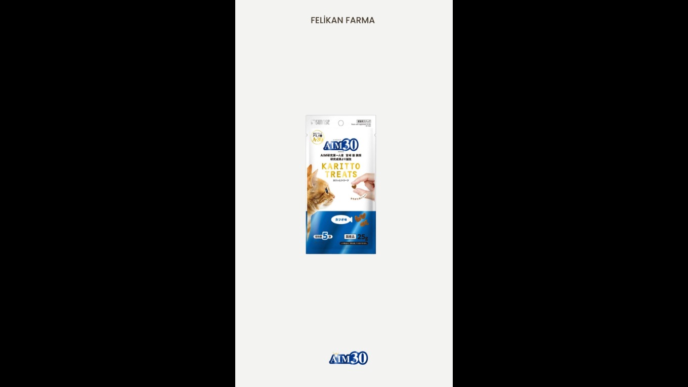 Video Banner
