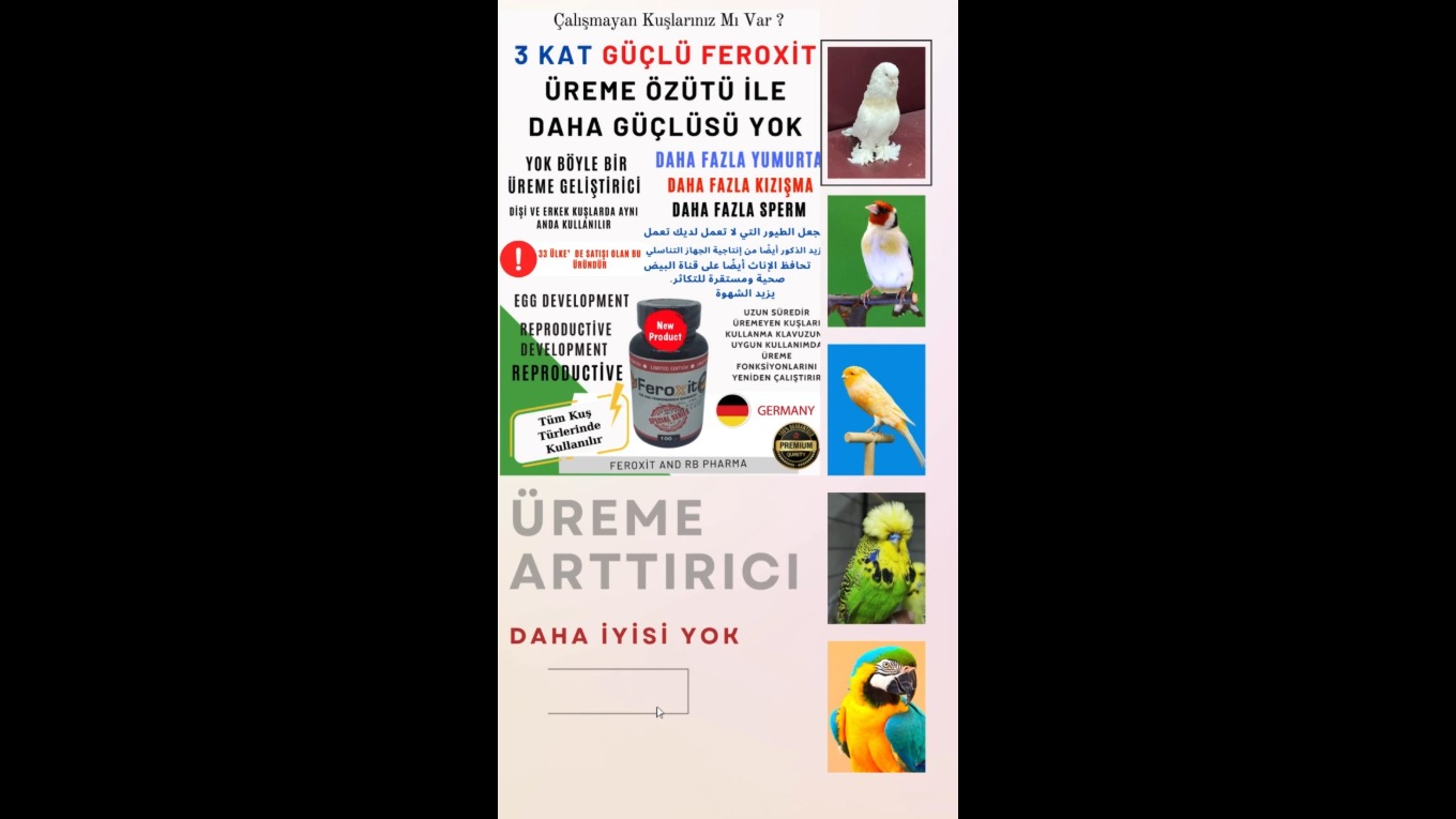 FEROXİT KIZIŞTIRICI