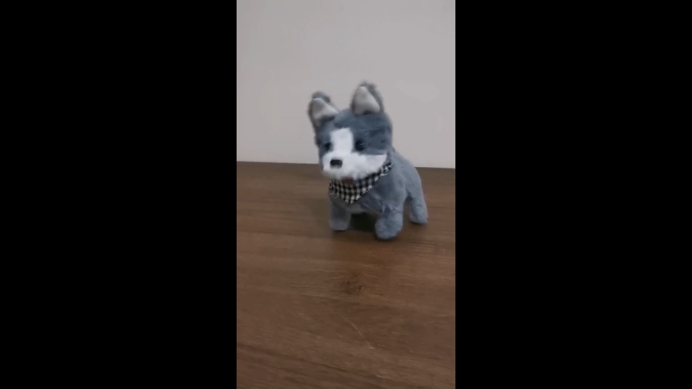 Video Banner