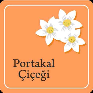 group-circle