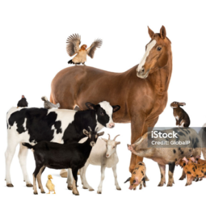 group-circle