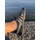 Buyfun Unisex Deniz Ayakkabısı Spor Çabuk Kuruyan Yumuşak
