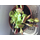 Etobur Bitkim Saksıda Dikili Canlı Yetişkin Sinek Kapan Venüs Bitkisi