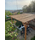 My Family Kamış Çit 2,50 x 2,50 m Hasır Çit Rulo Çit Bahçe Çit Balkon Çit Saz Kamış