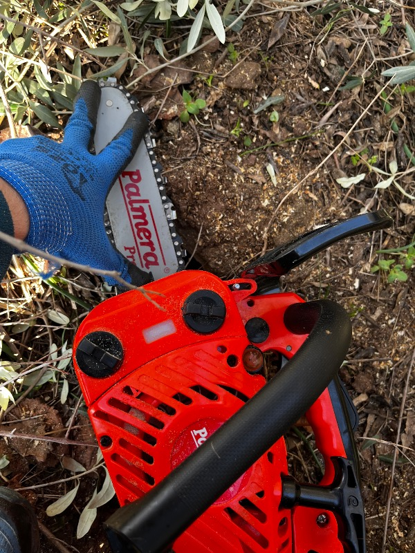 Palmera ZL2501 Pro Motorlu Testere