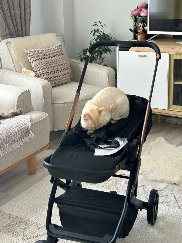 Bagi Neo 2 Bebek Arabası Black Gold