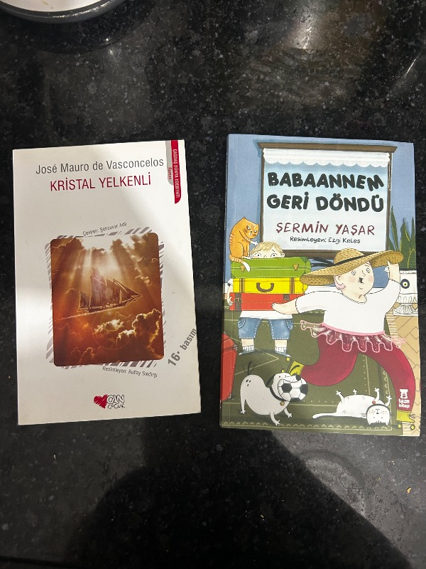 Taze Kitap Babaannem Geri Döndü - Şermin Yaşar