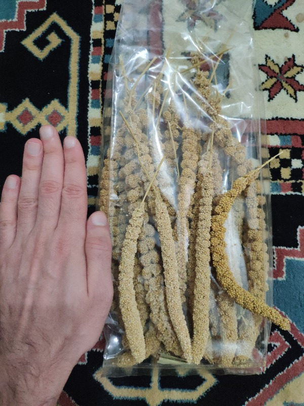 Eurogold Doğal Dal Darı 250 Gr