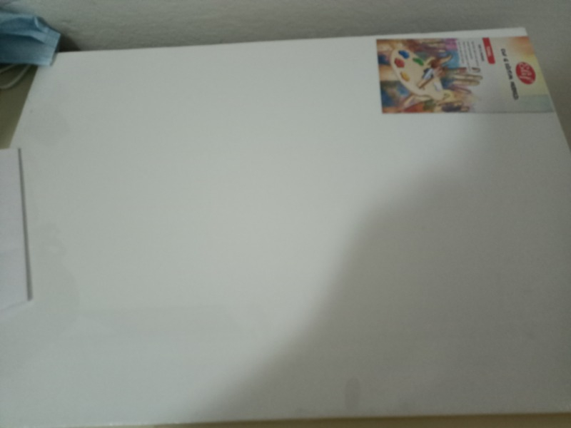 Masis 35x50 cm Tuval
