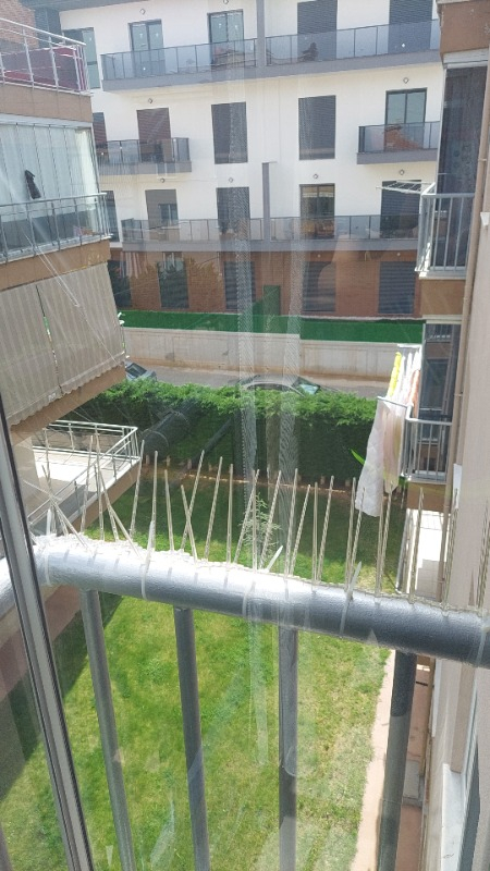 Expel Plastik Kuşkonmaz Bariyer Kuş Engelleyici Tel 3D Model 20'li