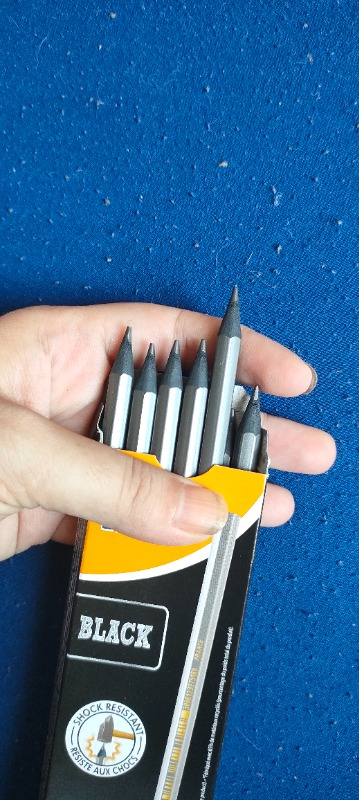 Bic Evolution Black HB Kurşun Kalem 12'li Kutu