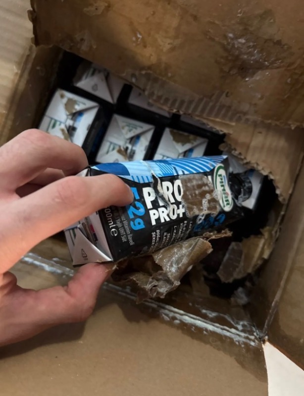Pınar Protein Pro+ Vanilyalı 500 ml x 12 Adet