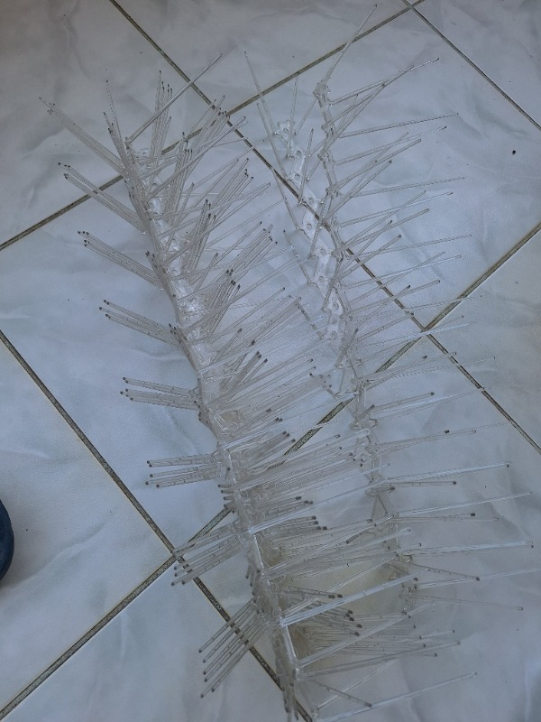 Expel Plastik Kuşkonmaz Bariyer Kuş Engelleyici Tel 3D Model 10'lu