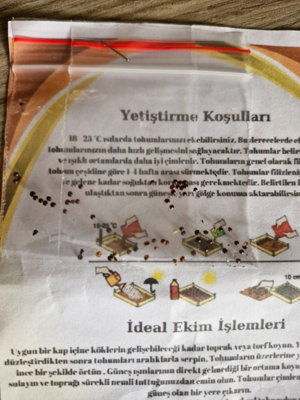 visual-comment-img