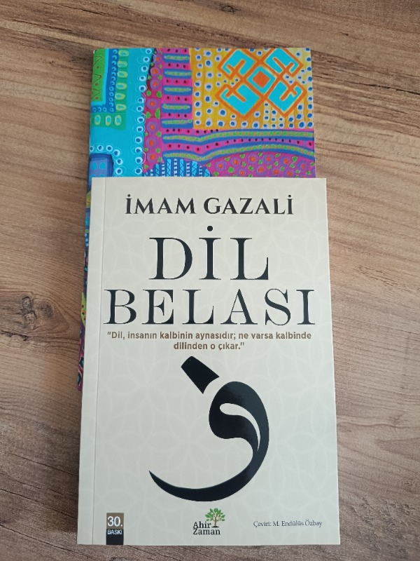 Ahir Zaman Yayınevi Dil Belası