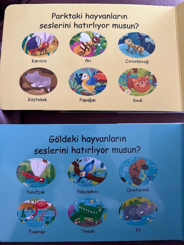Çalışkan Hayvanlar - Park (Sesli Kitap)