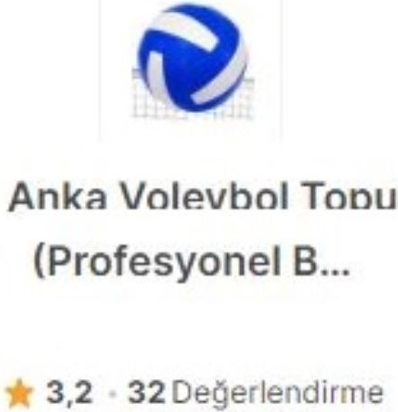Anka Voleybol Topu (Profesyonel Boy)