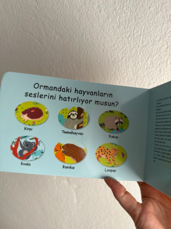 Çalışkan Hayvanlar - Orman (Sesli Kitap)
