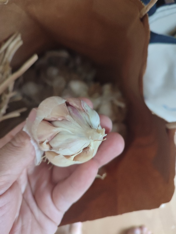 Taşköprü Sarımsağı 3kg