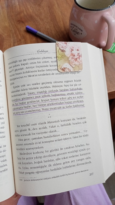 Çalıkuşu - Reşat Nuri Güntekin