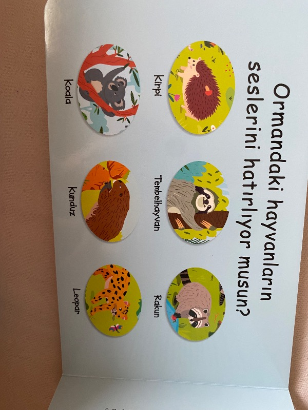 Çalışkan Hayvanlar - Orman (Sesli Kitap)