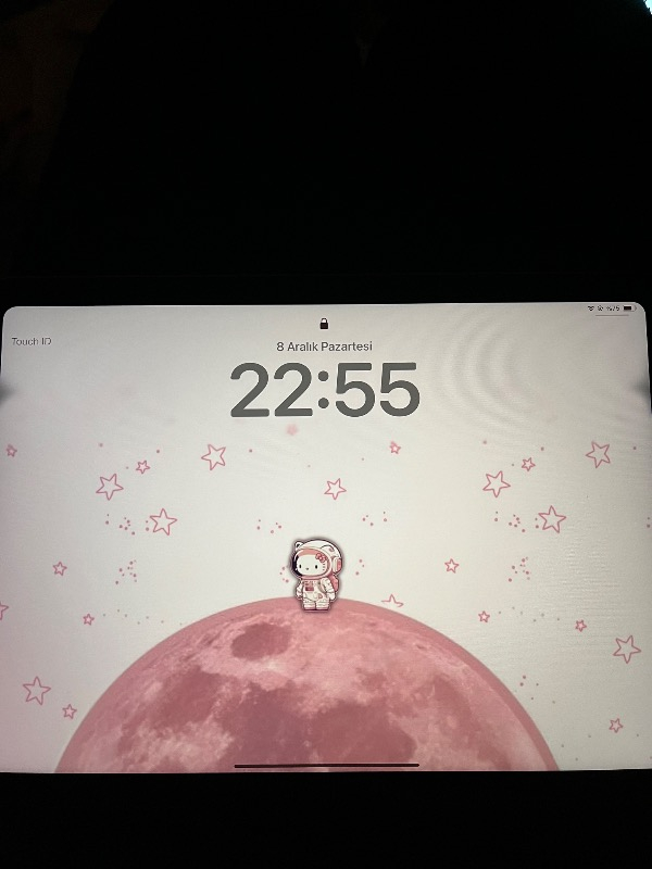 Apple iPad A16 11" 128GB Wi-Fi Tablet Pembe MD4E4TU/A