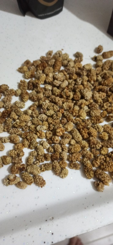 Antep Pazarı Dut Kurusu - 100 gr